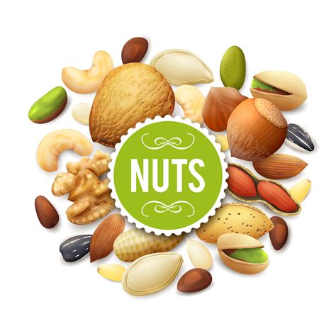 Nut Collection Illustration 462847 Vector Art at Vecteezy