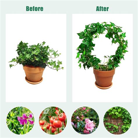 Buy EEEKit 2 Pack Black Iron Garden Trellis for Climbing Plants, 13 ...