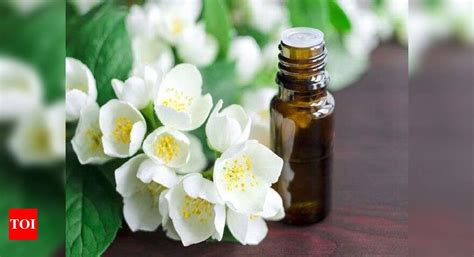 Jasmine essential oil: Give your skin an aromatic touch - Times of India