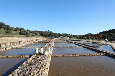 THE BEST Fun Activities & Games in Prado del Rey (w/ Photos)