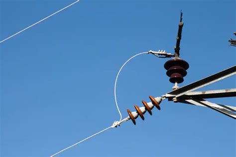 Image result for Example of Simple Random Sampling