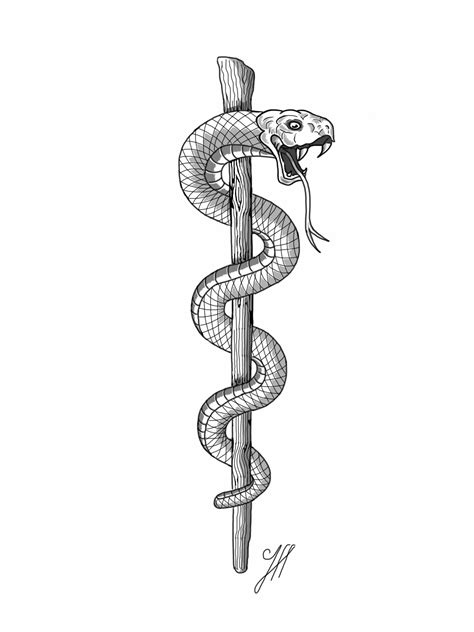 Rod of Asclepius | Cookie Pantheon Wiki | Fandom