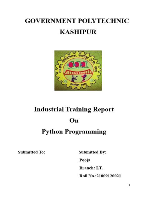 Generating Reports with Python 的图像结果