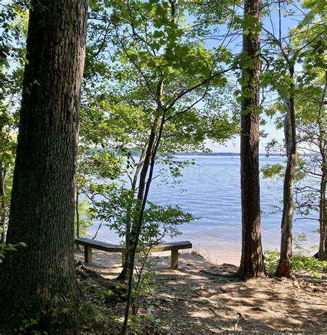 Jordan Lake State Recreation Area - Apex, NC | Periodically Creative