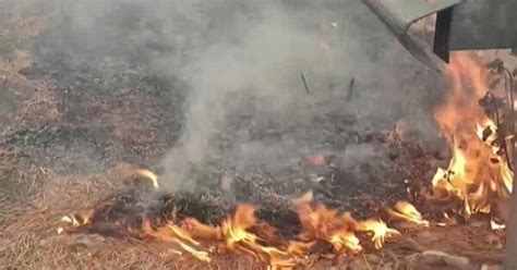 Nainital Fire: जंगलों में धधक रही भीषण आग, काबू करना हुआ मुश्किल