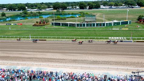 Betting 101: Learn How to Bet Horse Racing - NYRA Bets