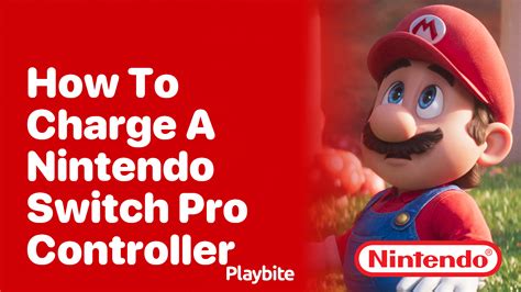 Image result for Switch Pro Controller Not Charging