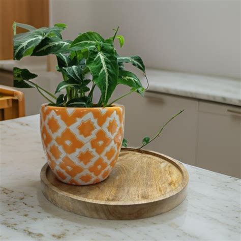 Ceramic pots in Delhi Mughal style-Decorative planters for plants ...