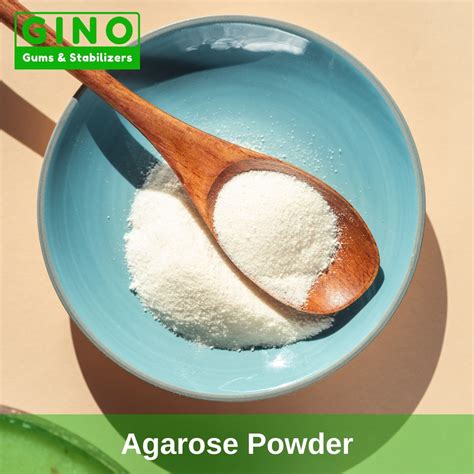 Agarose Powder: A Versatile Tool for Molecular Biology Research