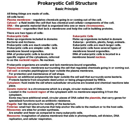 Image result for Cell Introduction