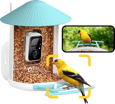 Amazon.com : NETVUE by Birdfy AI Smart Bird Feeder with Camera, AI Auto ...
