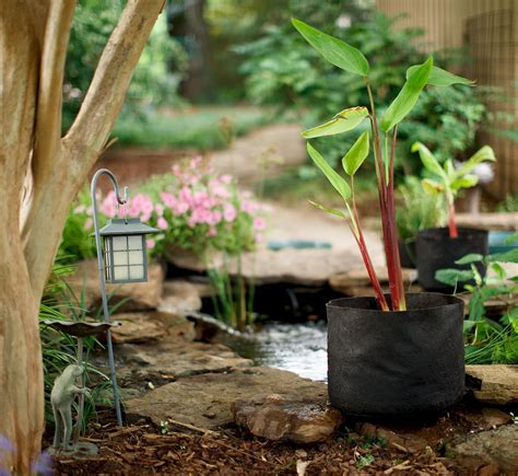 Smart Pots Pond Flexible Aquatic Plant Container for Water Gardening, 7 ...