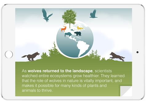 The Story of Gray Wolves