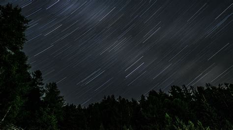 Download wallpaper 3840x2160 trees, stars, rotation, long exposure ...