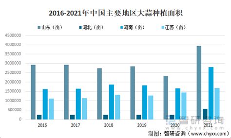 2020年全球及中国大蒜产量及需求量分析[图]_智研咨询