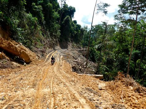 Building a Logging Road 的图像结果