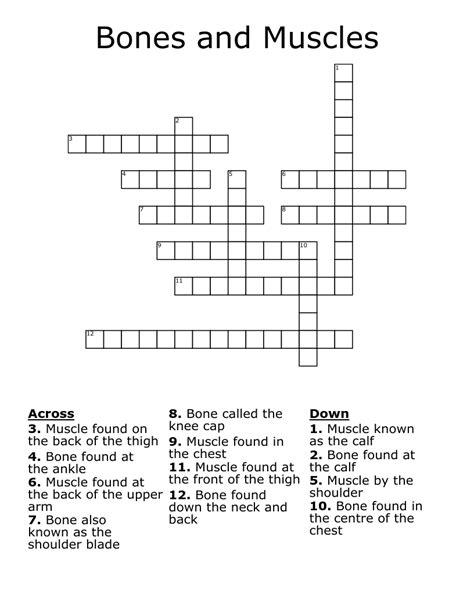 Bones and Muscles Crossword - WordMint