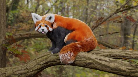 Image result for Linux Create