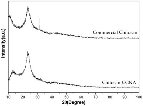 Synthesis of New Chitosan from an Endemic Chilean Crayfish Exoskeleton ...
