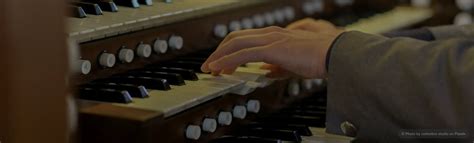 Image result for Types of Organs Instrument