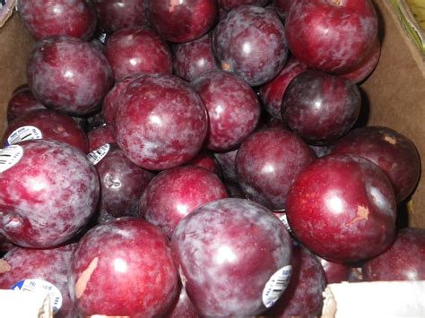 Prune In Spanish Means at Nancy Herrick blog