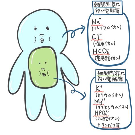 Image result for Computer Vision Labels Annotations HD Image