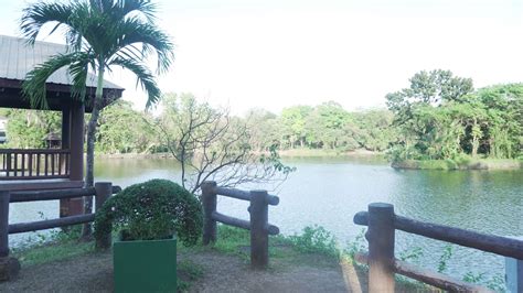 The Ninoy Aquino Parks and Wildlife Center in QC - Island Times