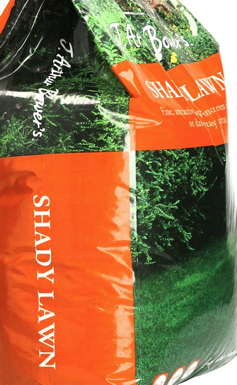 Buy Shady Lawn Grass Seed 5KG by Arthur J Bowers, Premium All Area ...