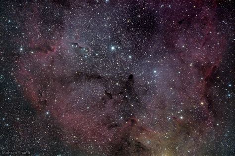 IC 1396 | JuzaPhoto