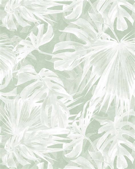 Maui Palm Sage Green Wallpaper in 2024 | Sage green wallpaper, Green ...