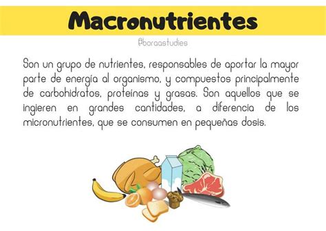 Macronutrientes: La base de una nutrición óptima