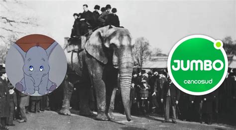 Image result for Visually Appealing Data Visualization Examples