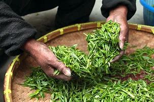 Image result for Tengja Tea Korean