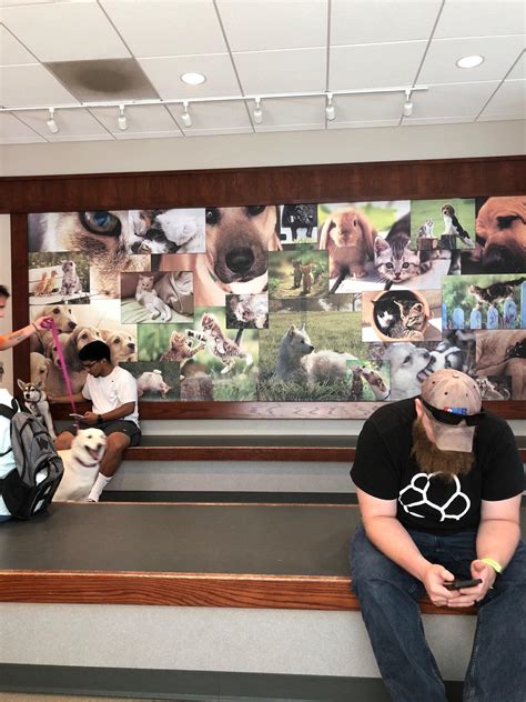 Hamlett Clinic Colorado Springs