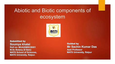 Abiotic & Biotic component of Environment | PPTX