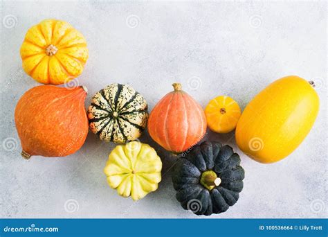 Different Varieties of Pumpkins and Gourds Stock Photo - Image of ...