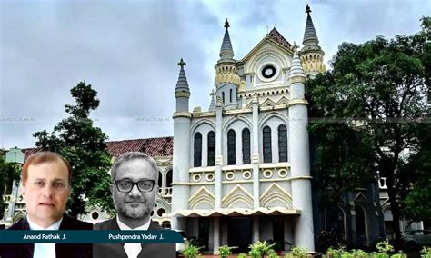 Madhya Pradesh High Court Flags Growing Social Media 'Intoxication ...