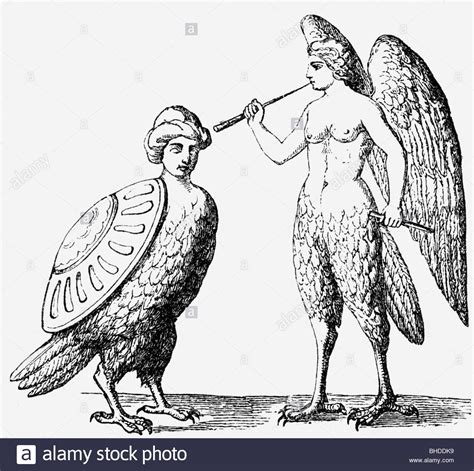 Harpies greek mythical creatures half woman half bird wood engraving ...