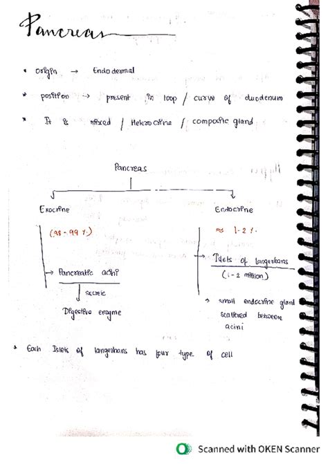 Endocrine part 2 - Nice - Pancrean origin Endo dermal position present ...