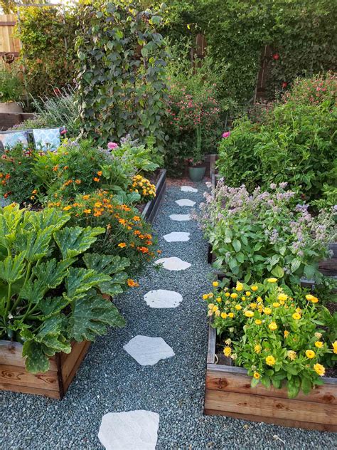 Companion Planting For Successful Gardening Companion Planting! It's