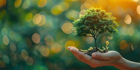 Environment Setting 的图像结果