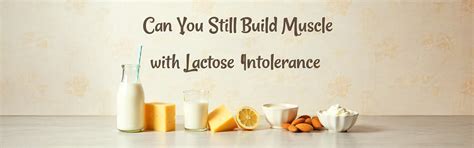How to build muscles with lactose Intolerance: Explore today – NAKPRO ...
