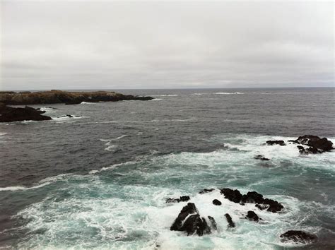 Van Damme State Park Campground | Little River, California