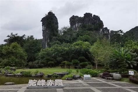 桂林七星公园景区门票+动物园