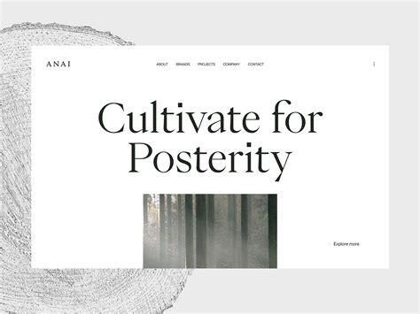 ANAI - Awwwards SOTD