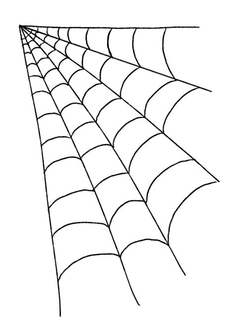 watercolor illustration of a spider web 11678801 PNG