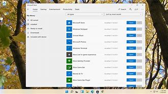 Image result for How Does Windows 11 Play DVDs