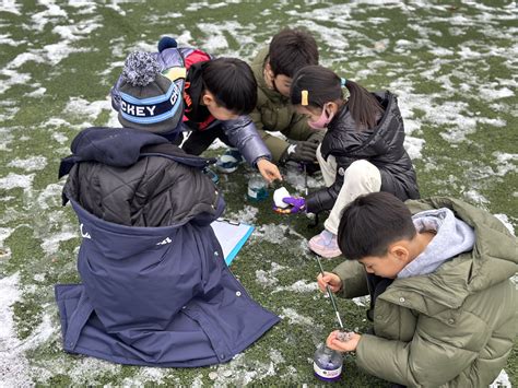 Image result for Understanding Patterns