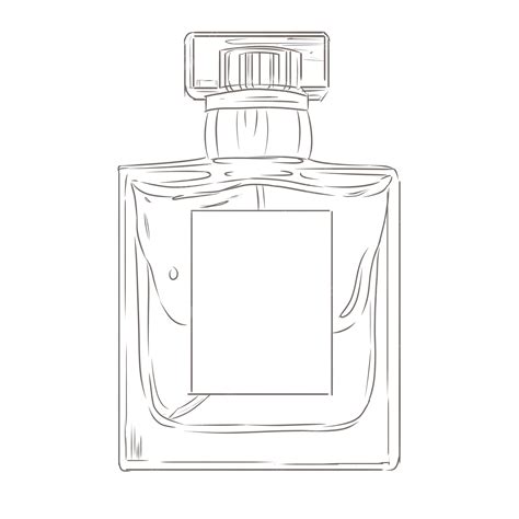 Tekeningen Van Parfumflesjes Aquarel Hand Tekenen Parfumflesjes