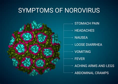 Norovirus 2025 norovirus Cases On The Rise In The Us. What You Need To Know ...